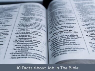 10 Facts About Job In The Bible