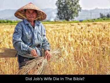 Did Job's Wife Die In The Bible