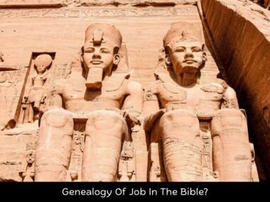 Genealogy Of Job In The Bible