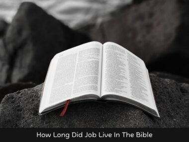 How Long Did Job Live In The Bible