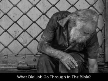 What Did Job Go Through In The Bible