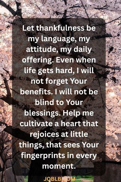 Powerful Prayers For A Better Day​