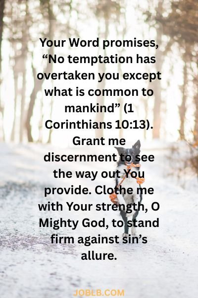 Prayer for Mercy and Grace with Bible Verses
